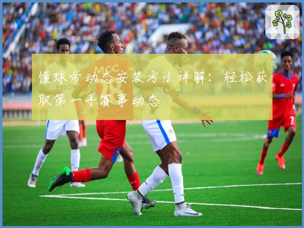 懂球帝动态安装方法详解：轻松获取第一手赛事动态
