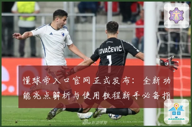 懂球帝入口官网正式发布：全新功能亮点解析与使用教程新手必备指南