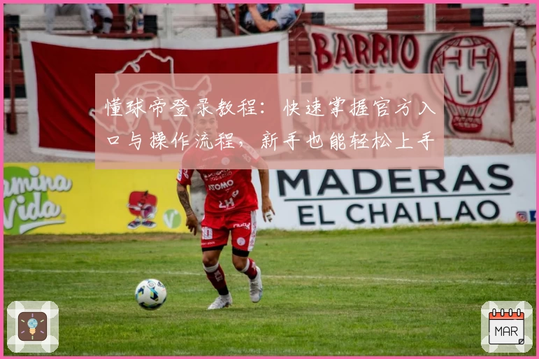 懂球帝登录教程：快速掌握官方入口与操作流程，新手也能轻松上手